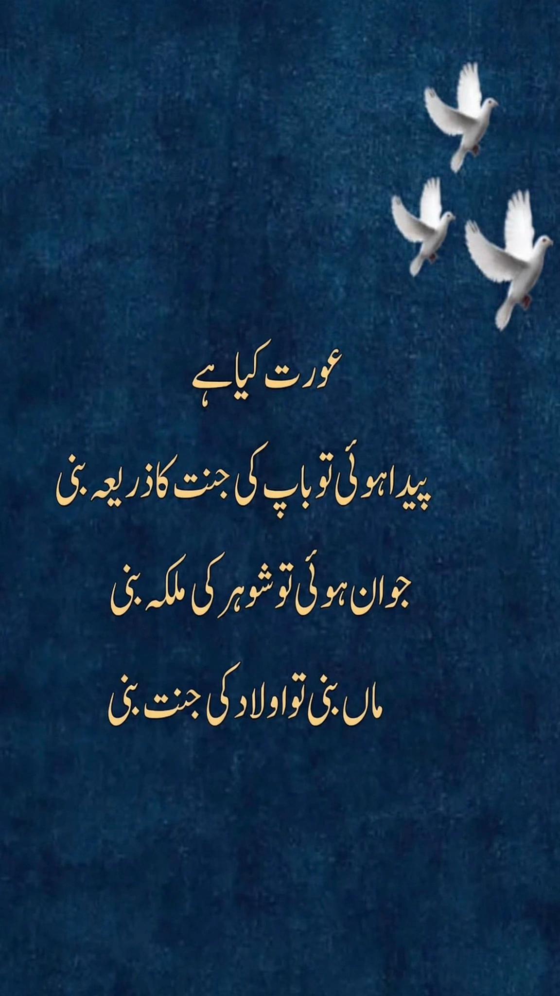 @Kashmiriboy_786
