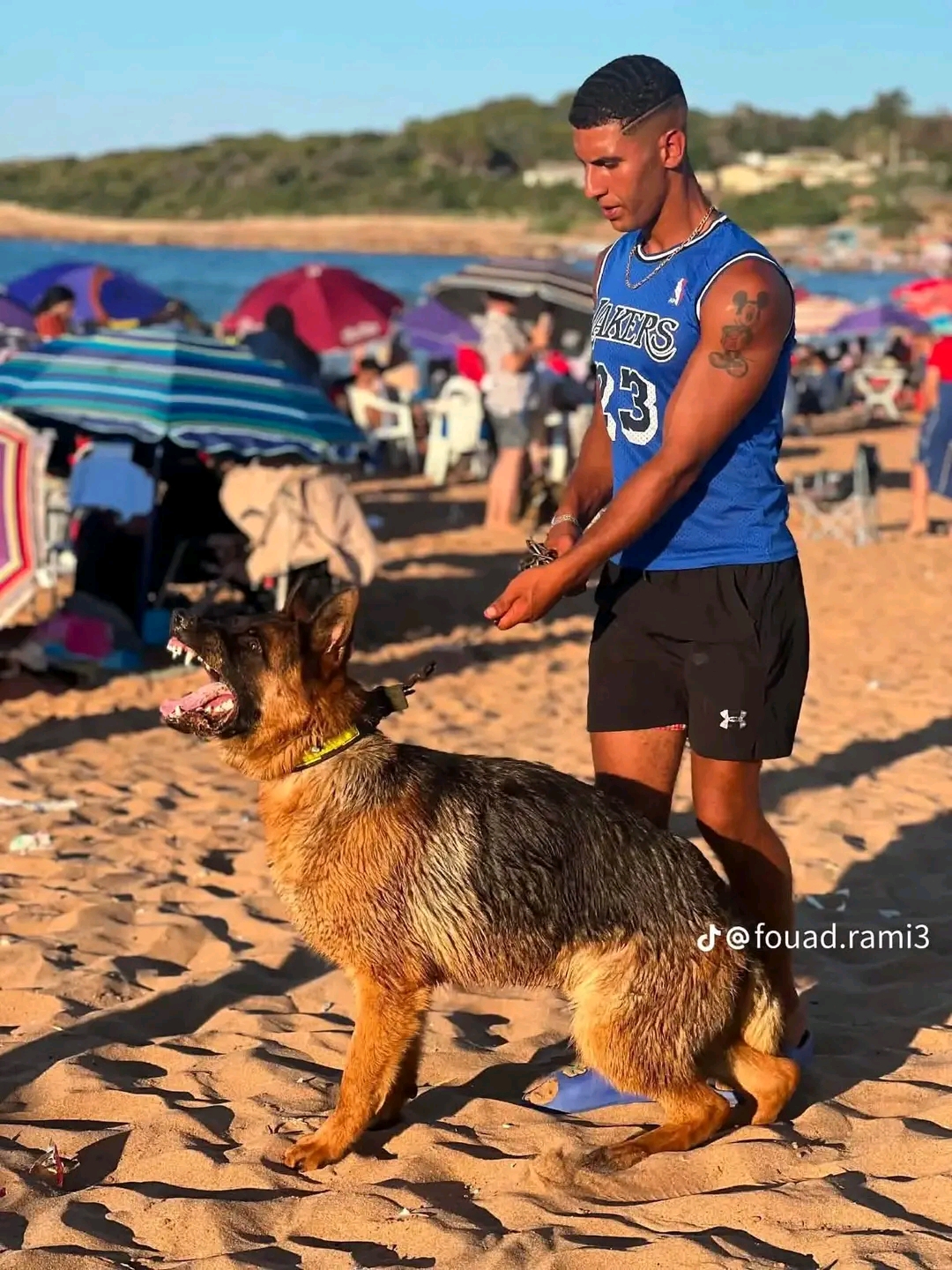 @الجزائر وما أدراك مالجزائر