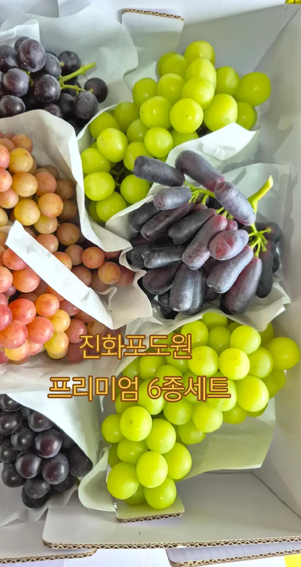@진화포도원