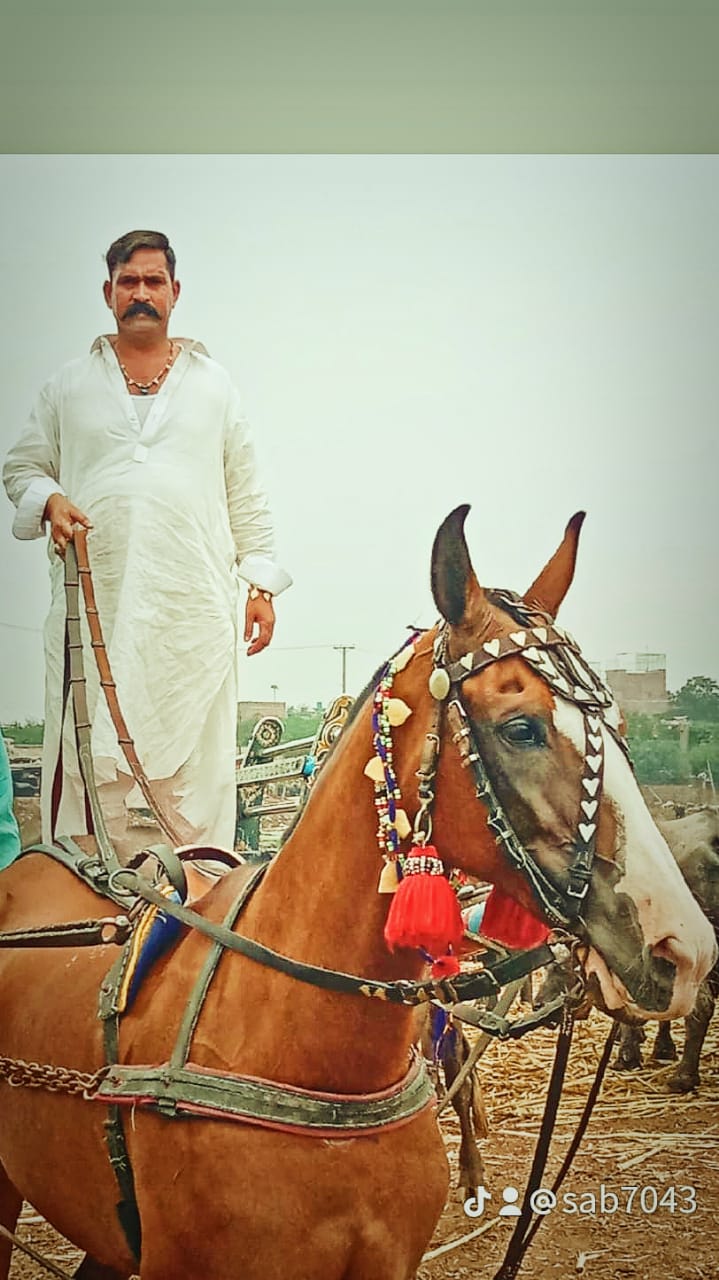 @Sab Gujjar 😍
