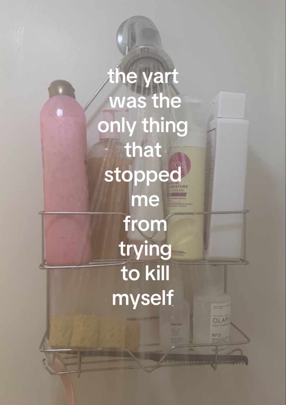 @🪽