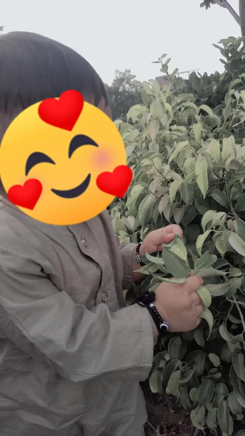 @Dalawargujjar324