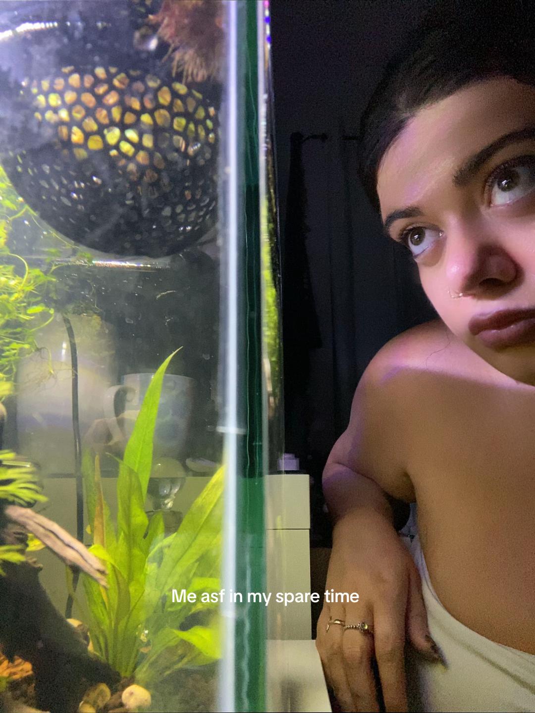 @Lily🌟🪷