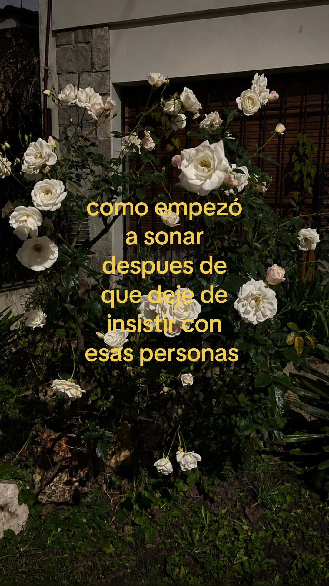 @thiagohonores_