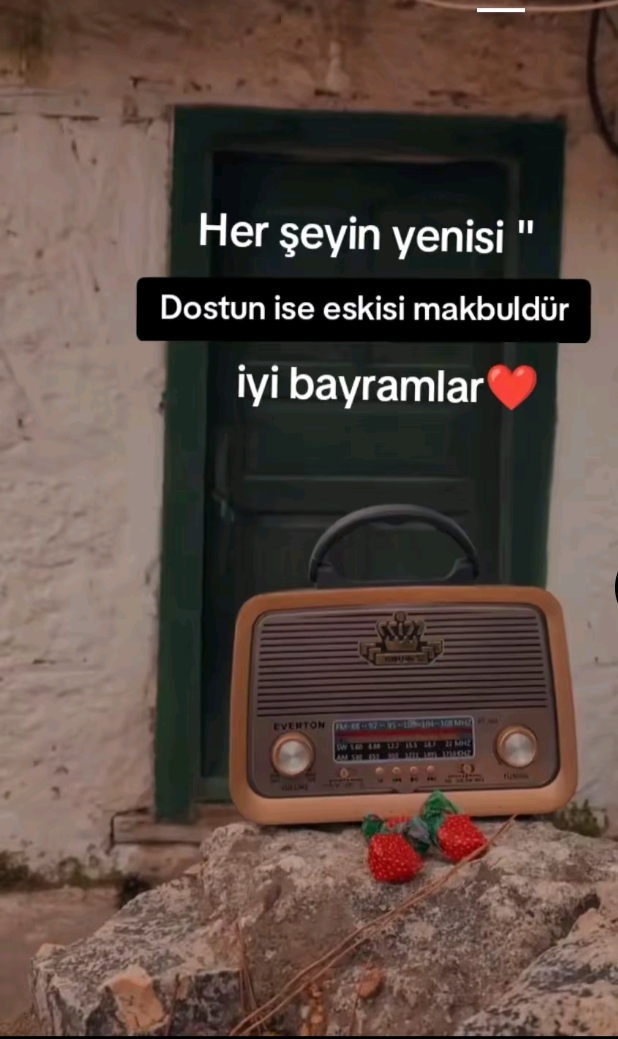 @avsar ayaz