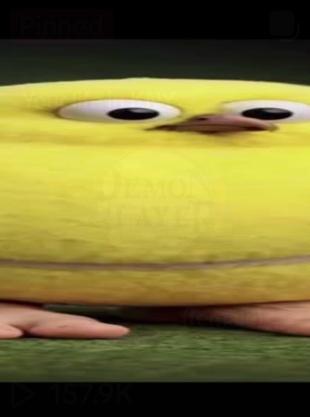 @President of fat sennis land