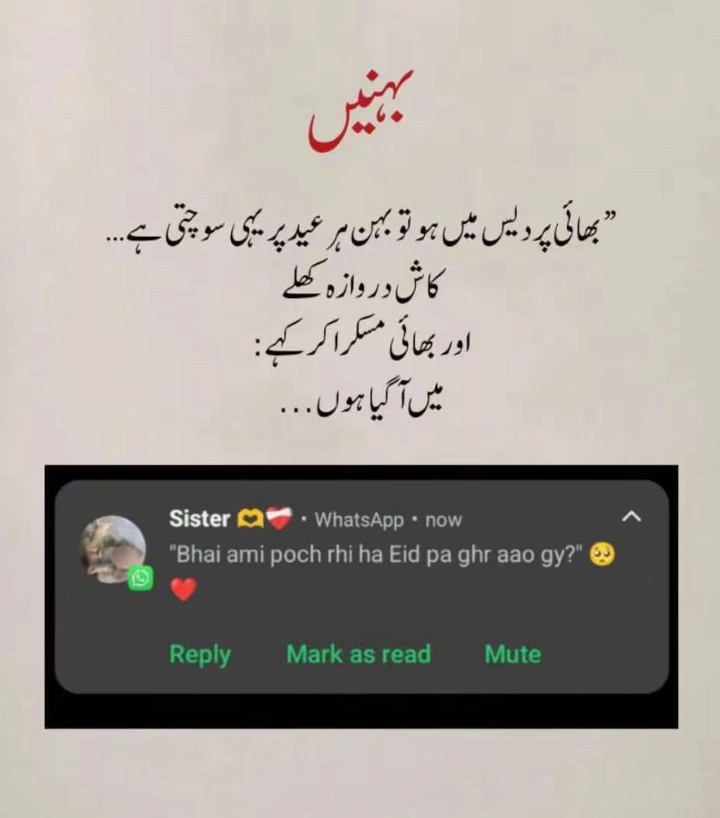 @🔴┈&bull;❀⫷Saim🔴Ali⫸❀&bull;┈🔴