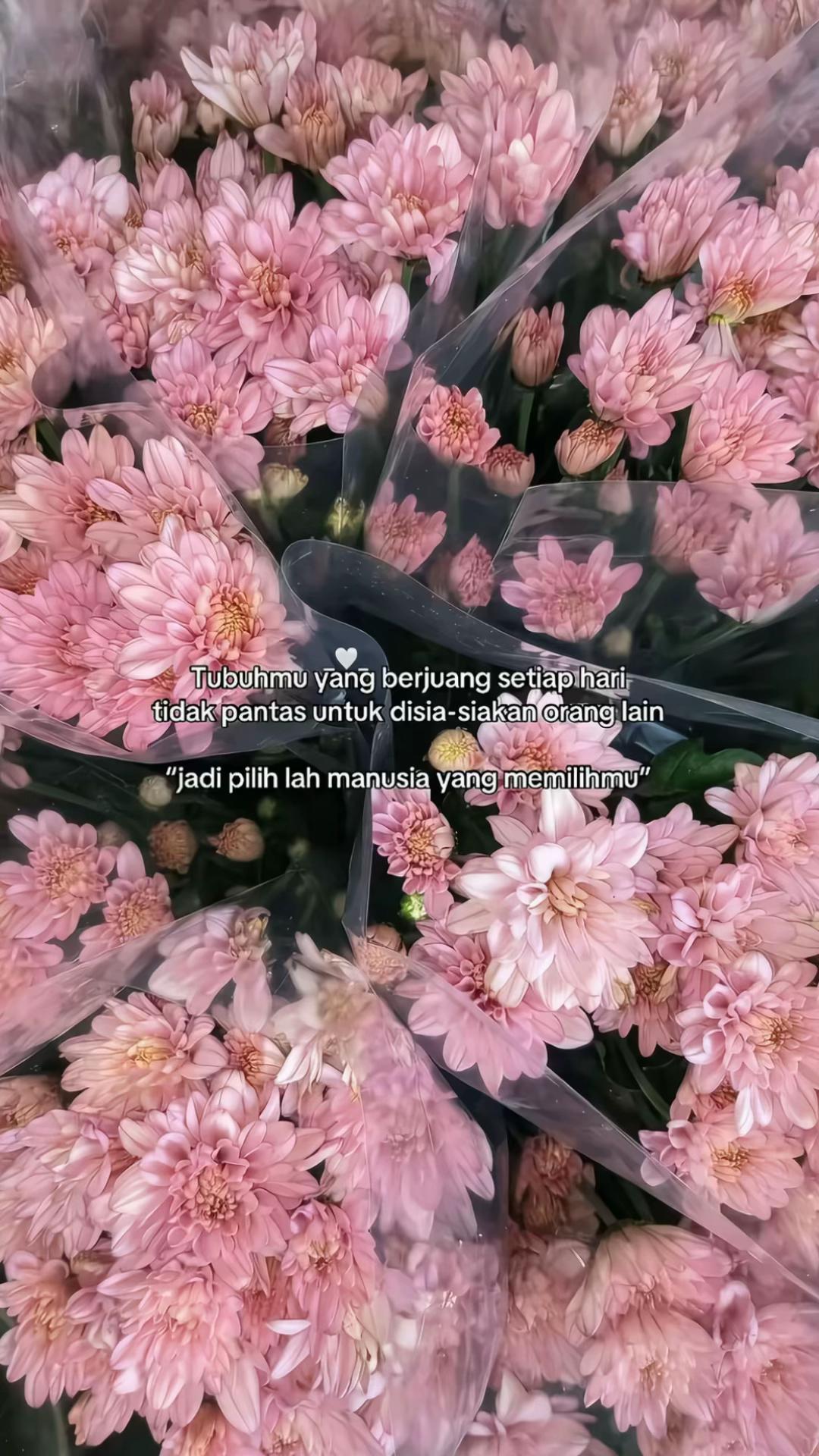 @Anaknya Utik
