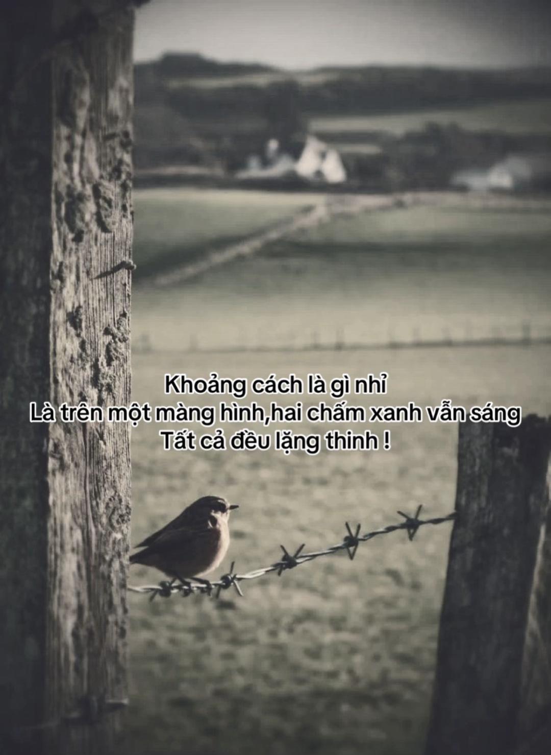 @❤️🌺𝓝𝓰𝓾̛𝓸̛̣𝓬 𝓛𝓸̂́𝓲🌺❤️