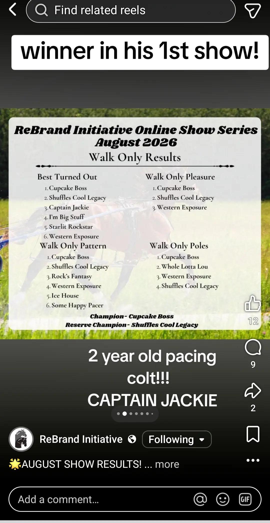 @powerhousemastiff racing