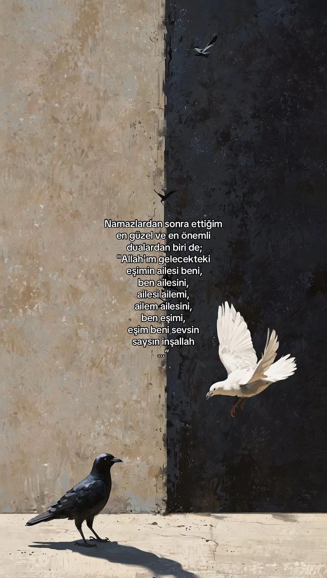 @𝓔𝓵𝓲𝓯