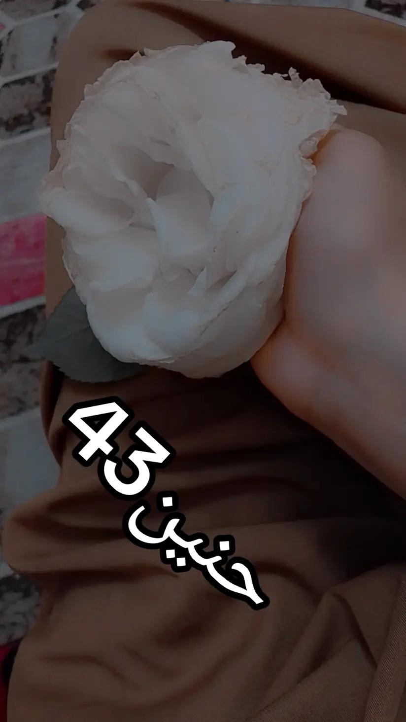@⭐❤️غزل❤️⭐