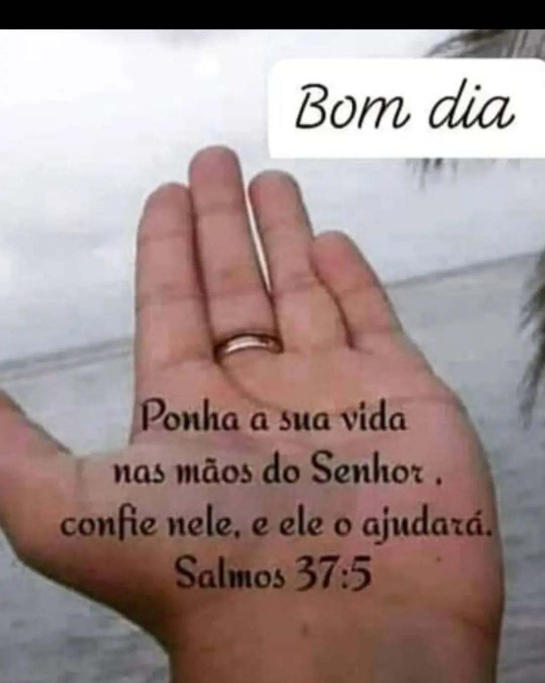 @lucineiarocha2412