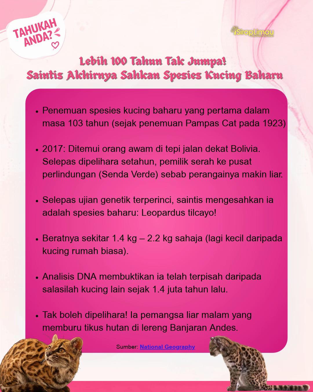 @Sirap Limau Official