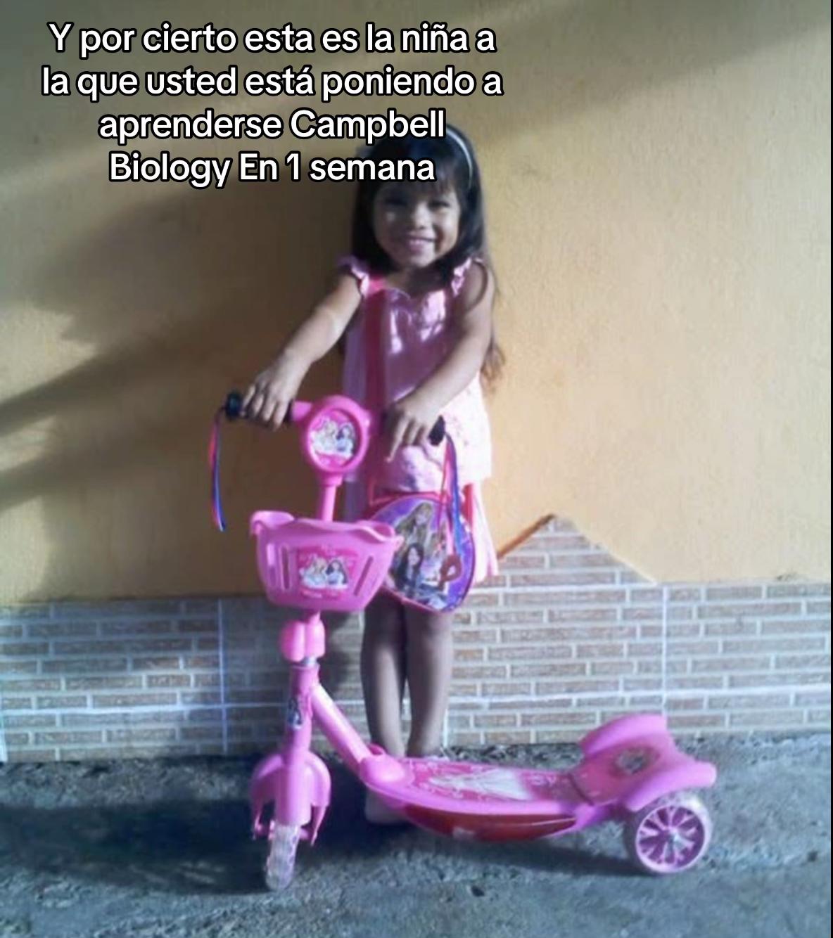 @pandeajo.exe