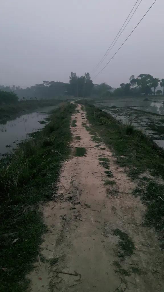 @Delowar Hossain