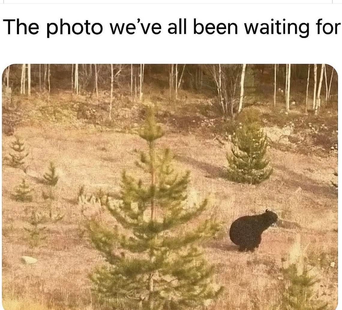 @Van