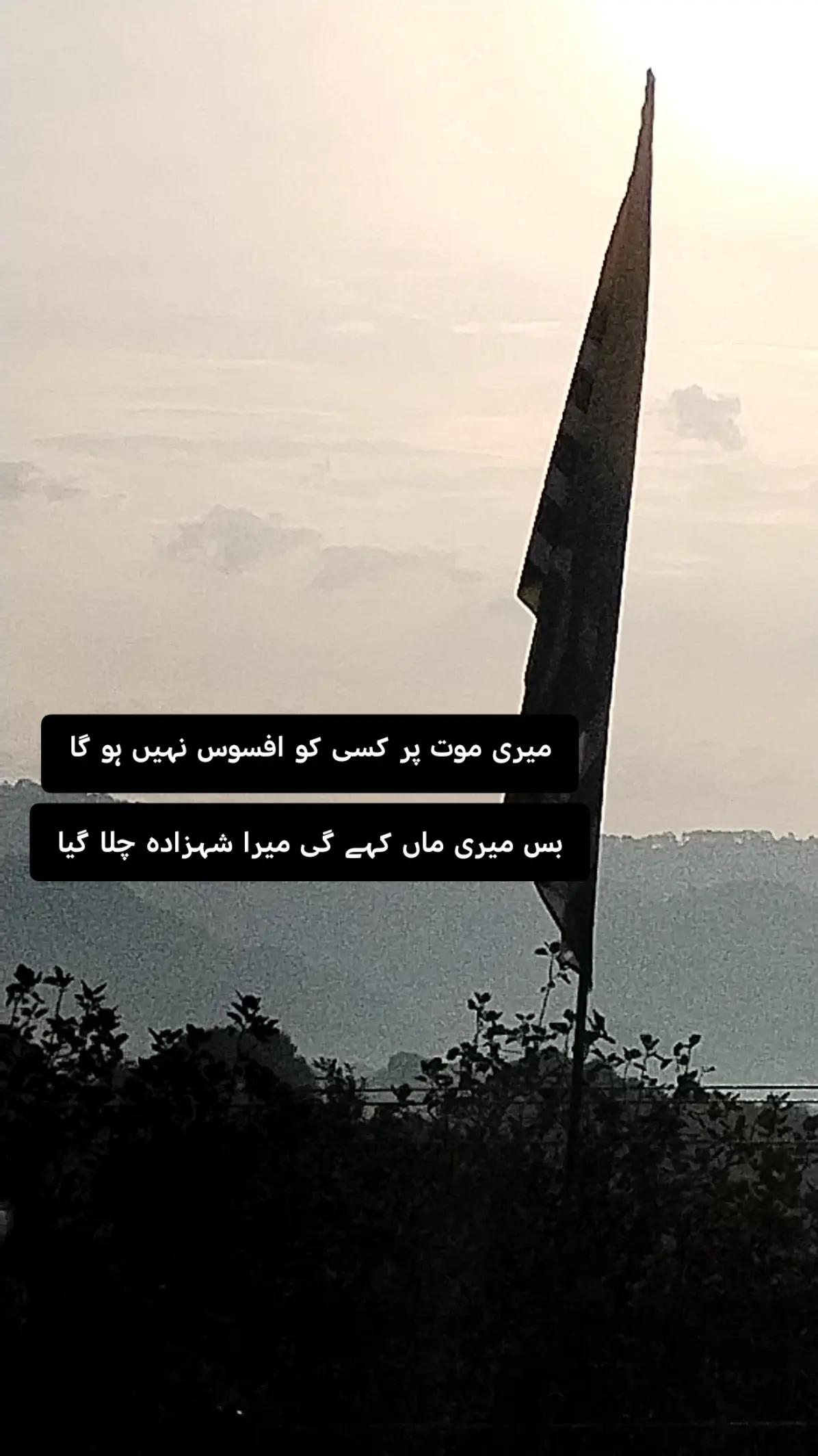 @🍁 amjad Kashmiri 🍁