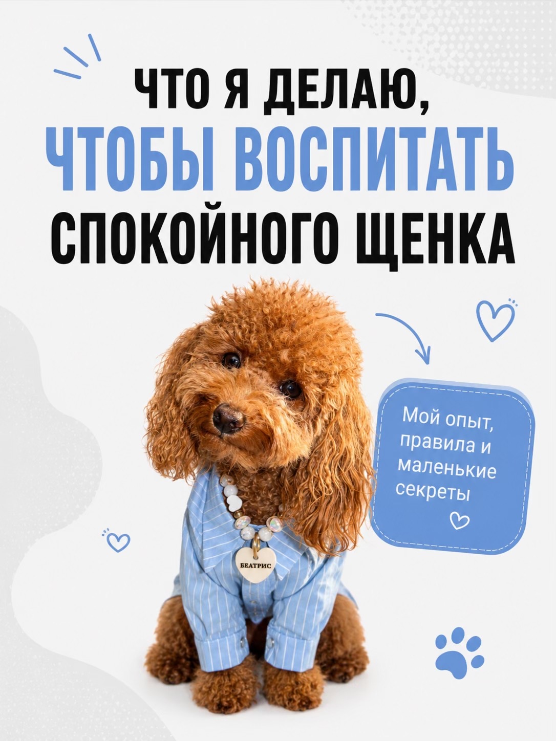 @beatrice_poodle