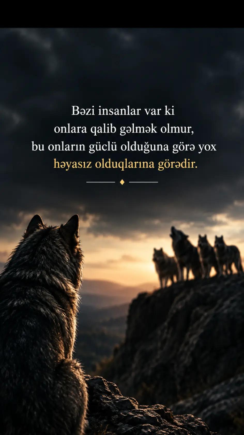 @Müdrik Kəlamlar