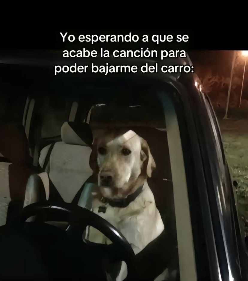 @Mauricio Sanchez
