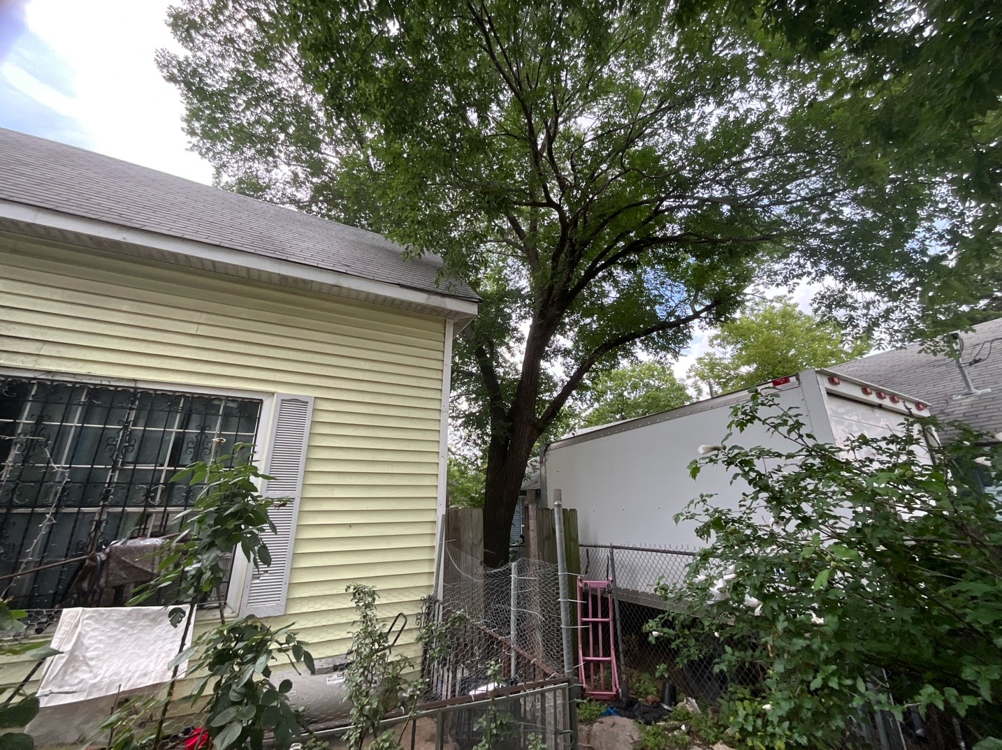@Live Oak Tree Service