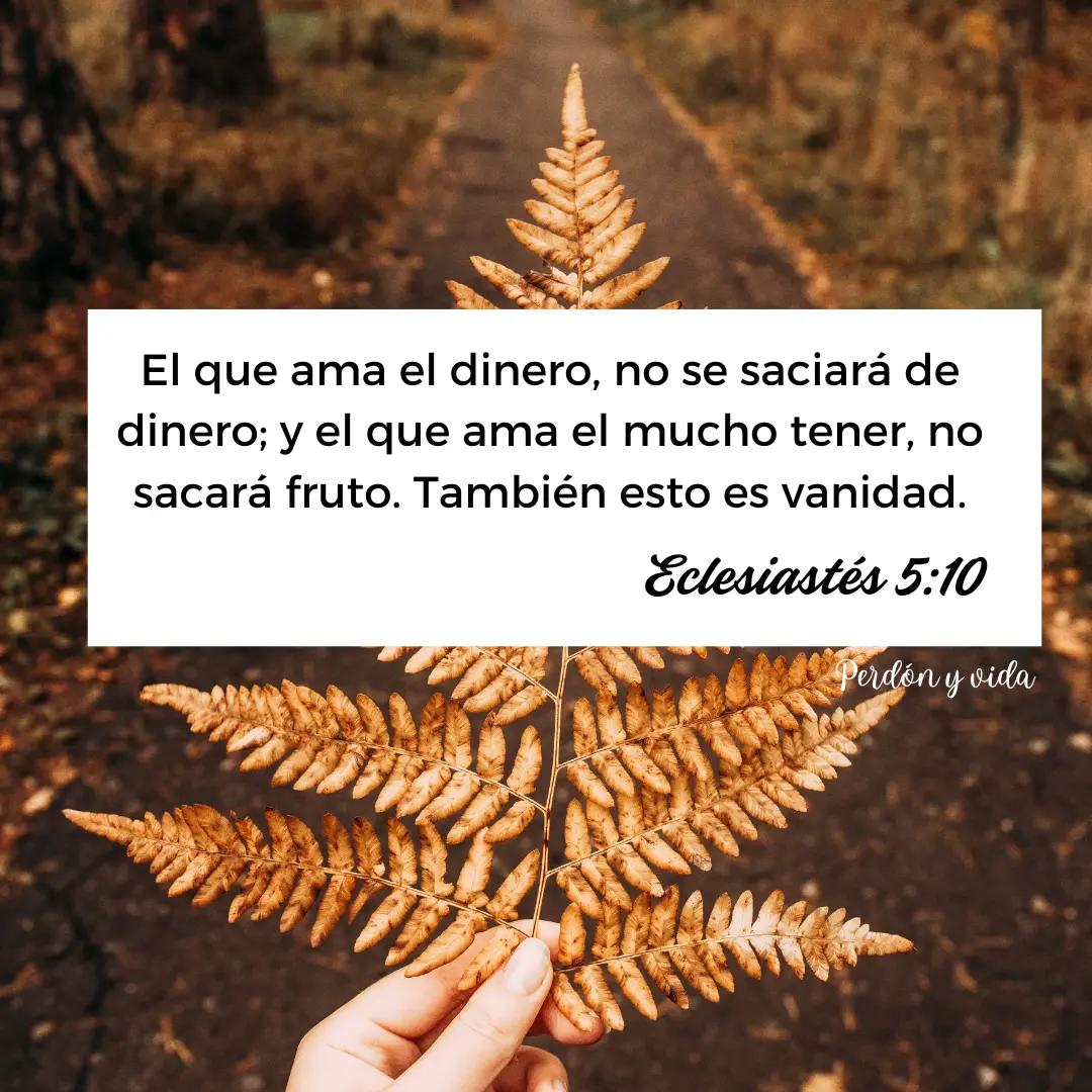 @Perdón y Vida