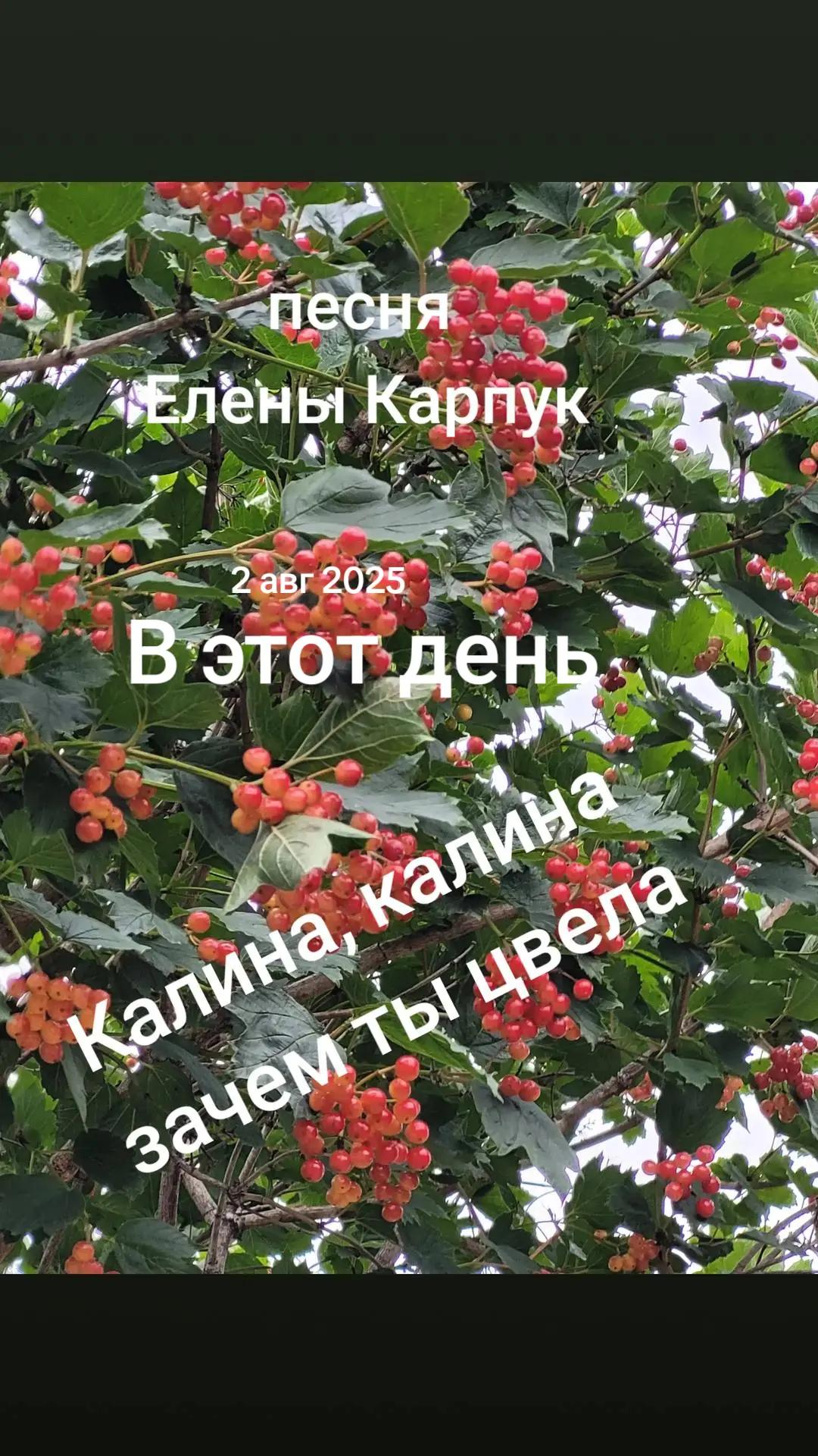 @Татьяна П