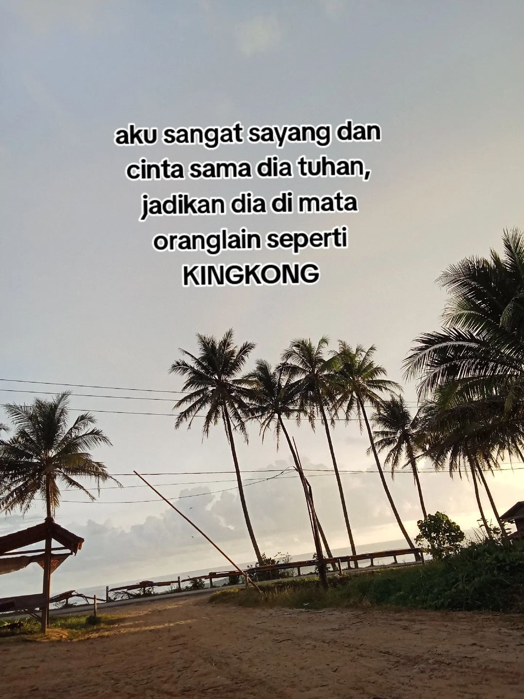 @SENJA Nya Bubu🪴