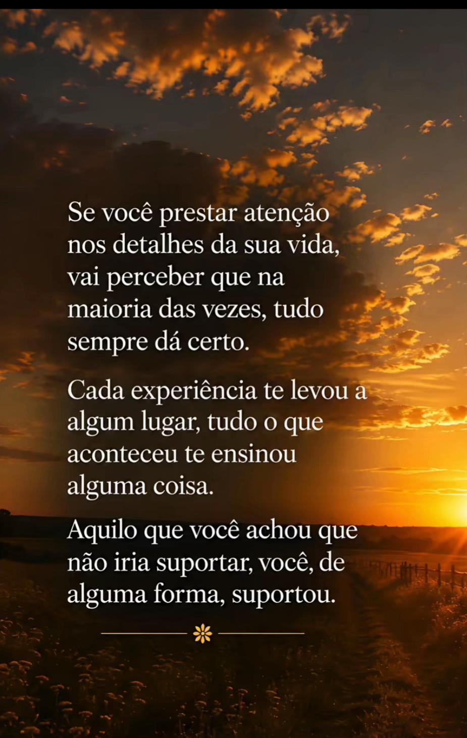 @Tania 1303