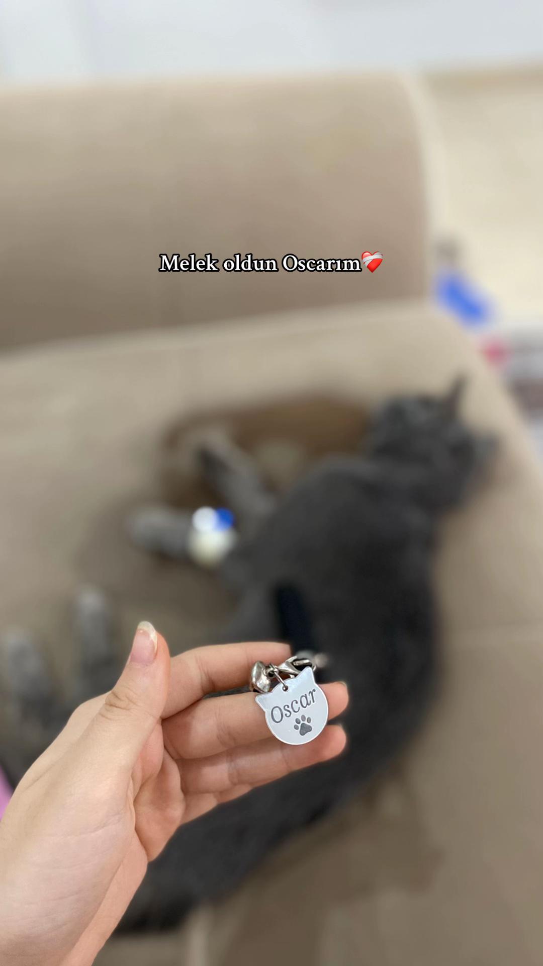 @𝓐𝔂ş𝓮𝓷𝓾𝓻 𝔂ı𝓵𝓶𝓪𝔃'🕊️