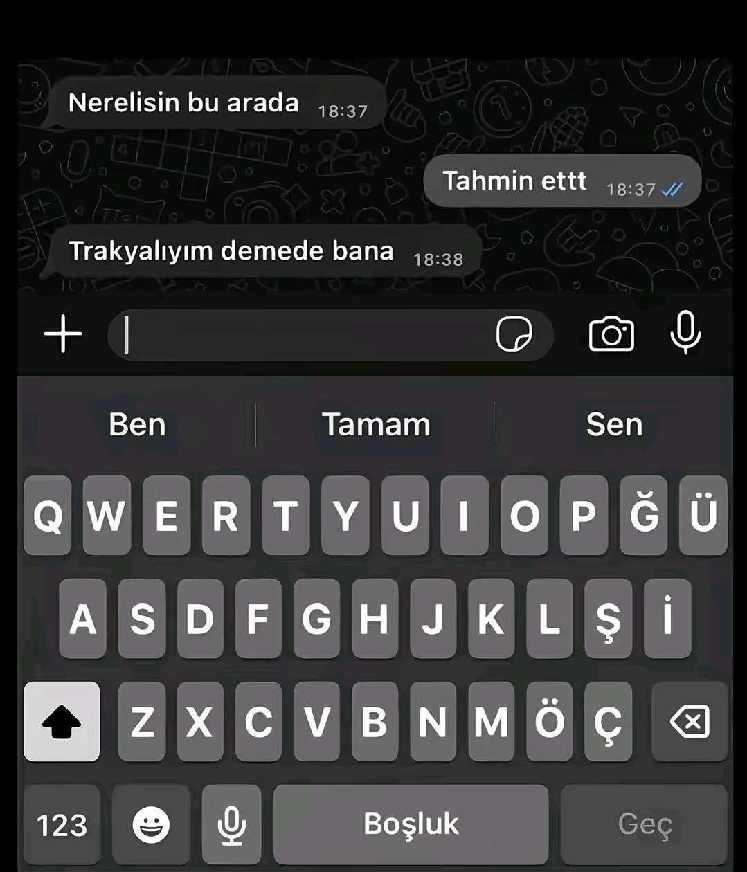 @eliz