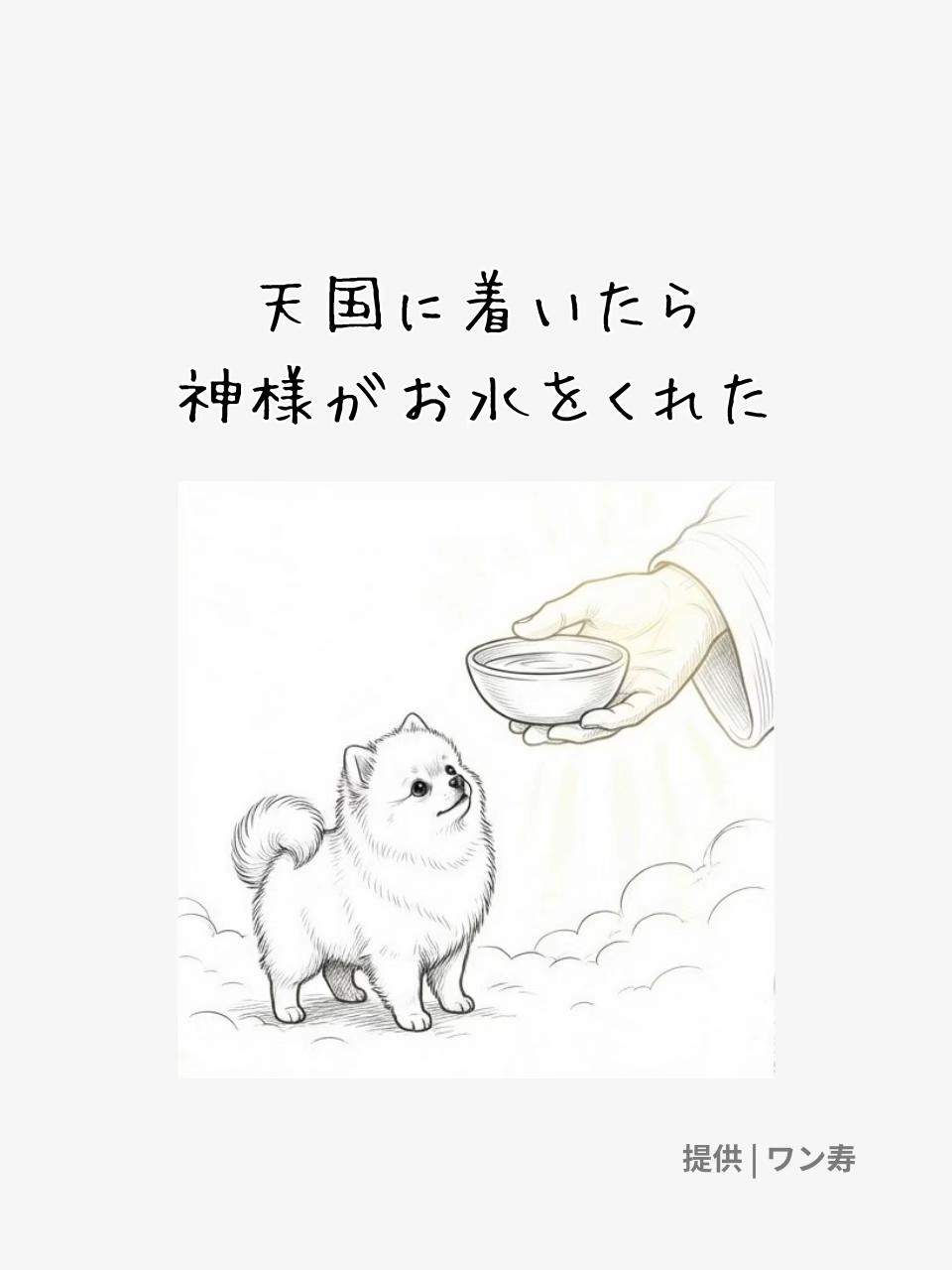 @ワン寿 | taro