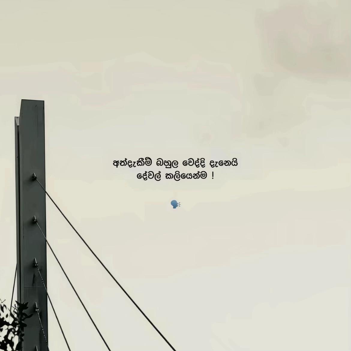 @𝐁𝐫𝐚𝐧𝐝 𝐌𝐮𝐅𝐚𝐙𝐚 🥷🏼 '