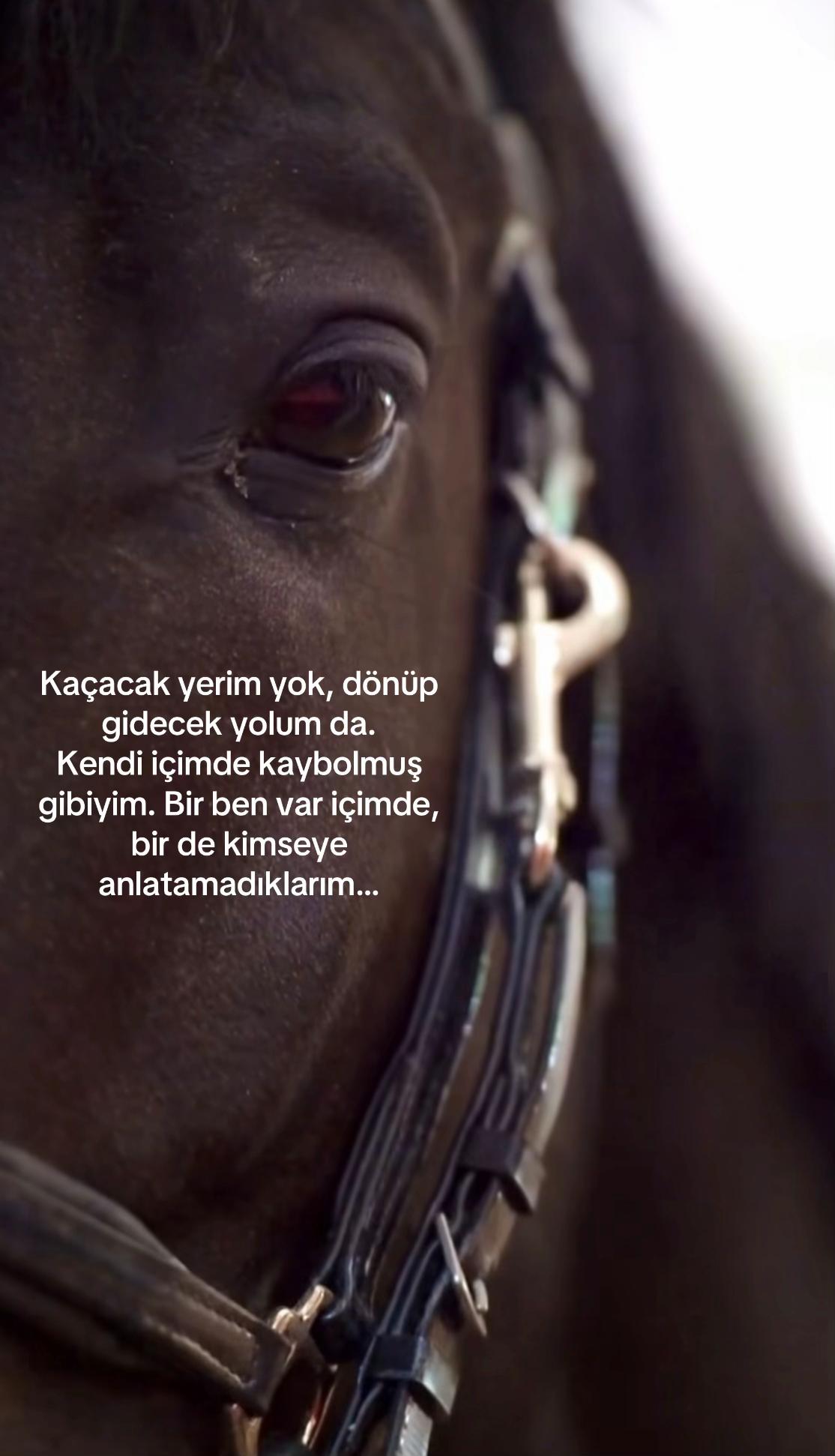 @öylesineee
