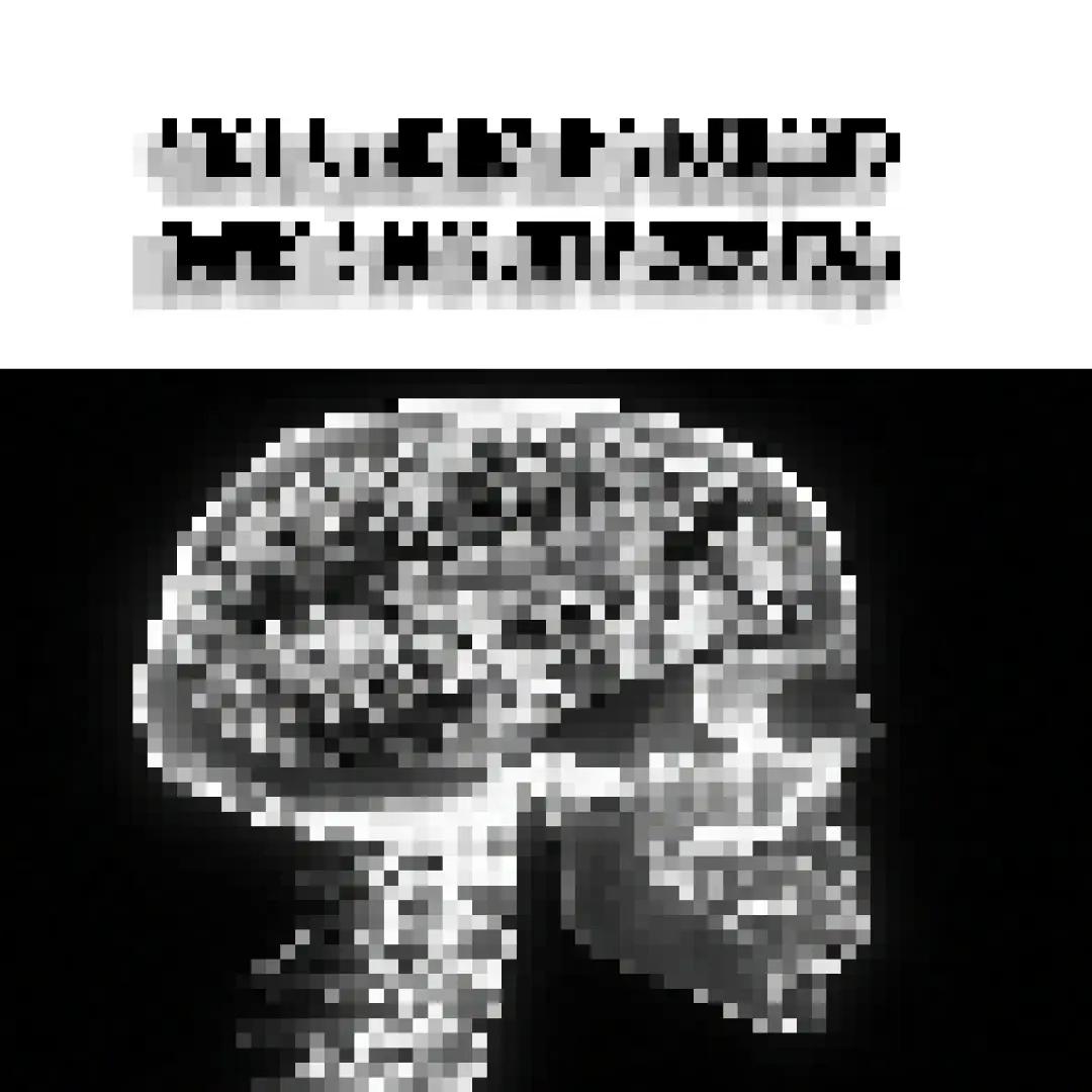 @СДАЧА МАКС⚡️