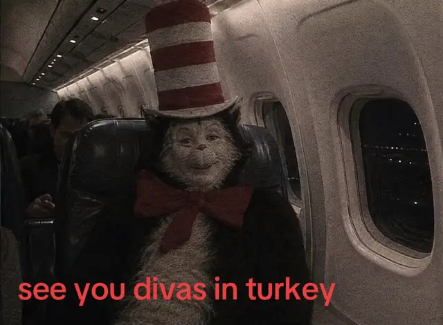 @THE REAL CAT IN THE HAT