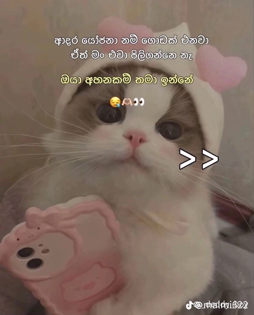 @โค๏ธ๐ฅ๐ต ๐ผ ๐พ ๐จ๐๐๏ธ