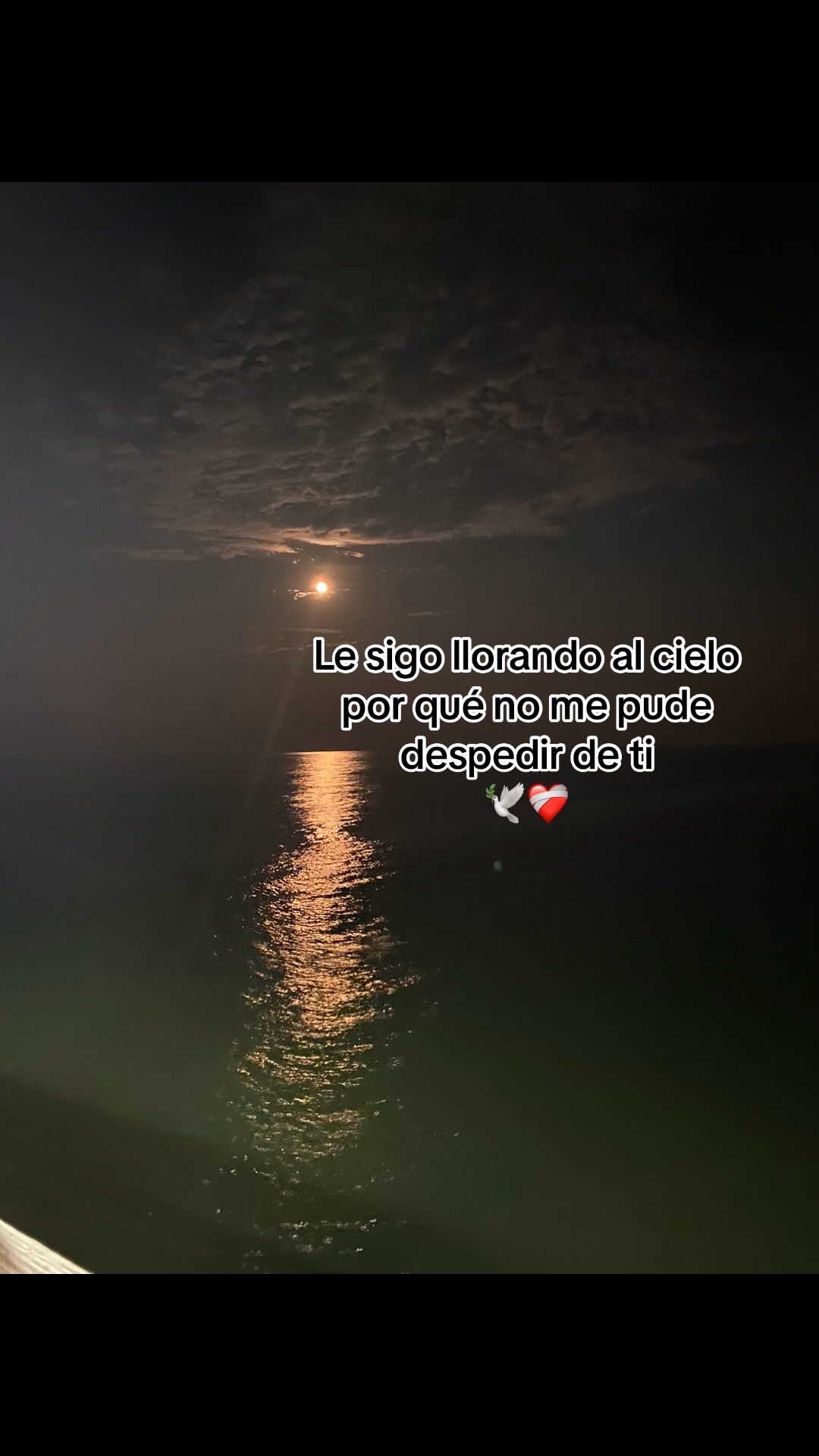 @Littzy ✨