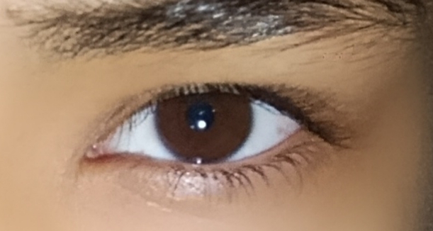 @XXXAPLUMUT