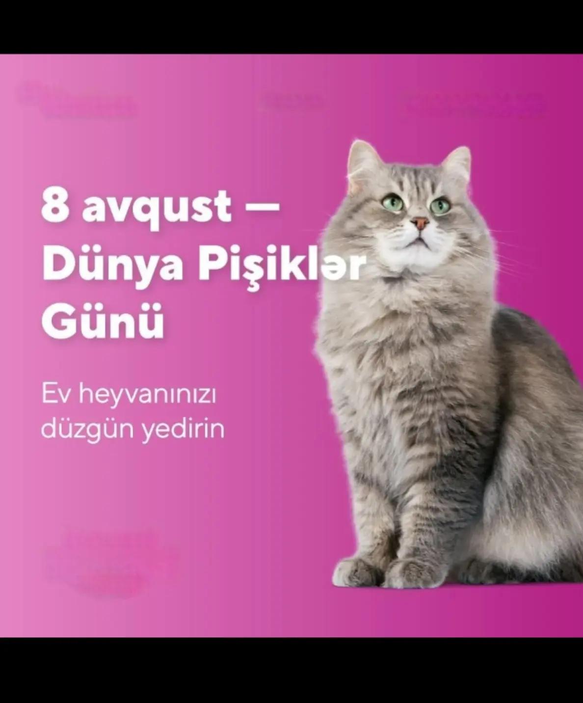 @Traktor_Aləmi