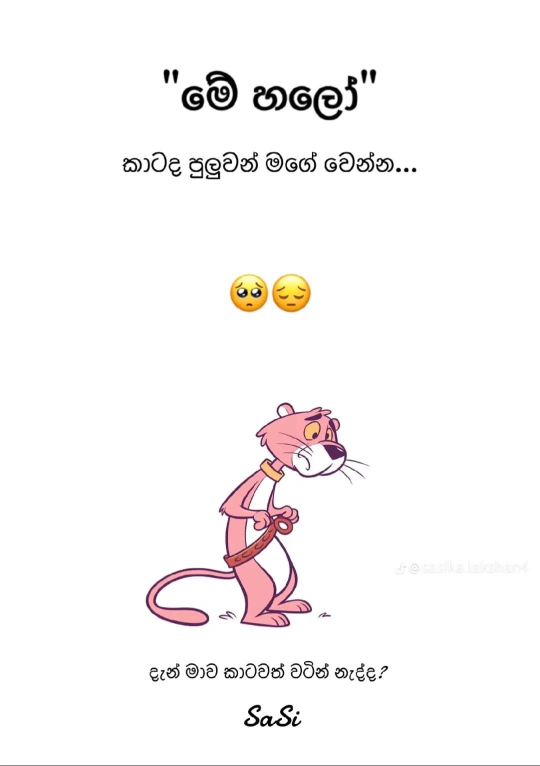 @TuTu 🪬