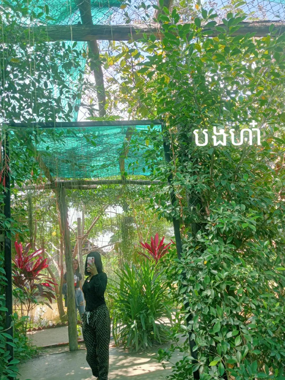 @Nai Tpok ๐