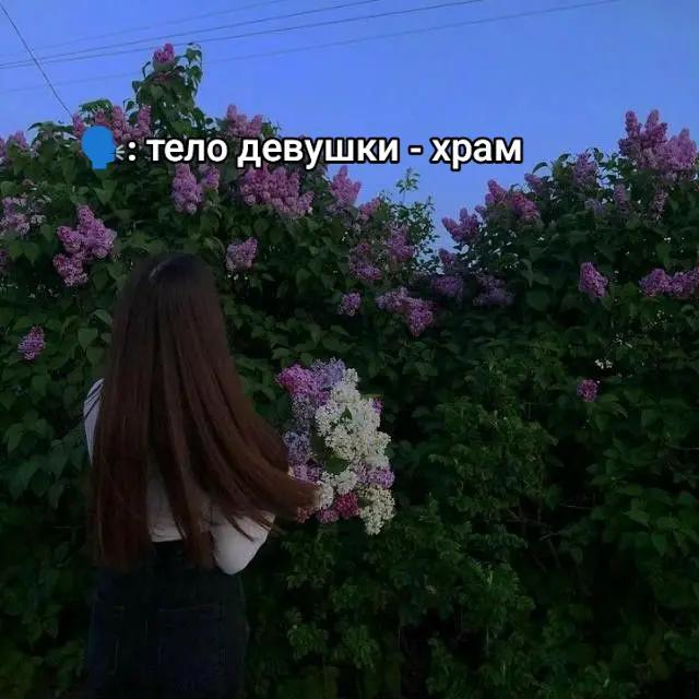 @⋆.˚✮ᴋᴩиᴄᴛюɯᴀ✮˚.⋆