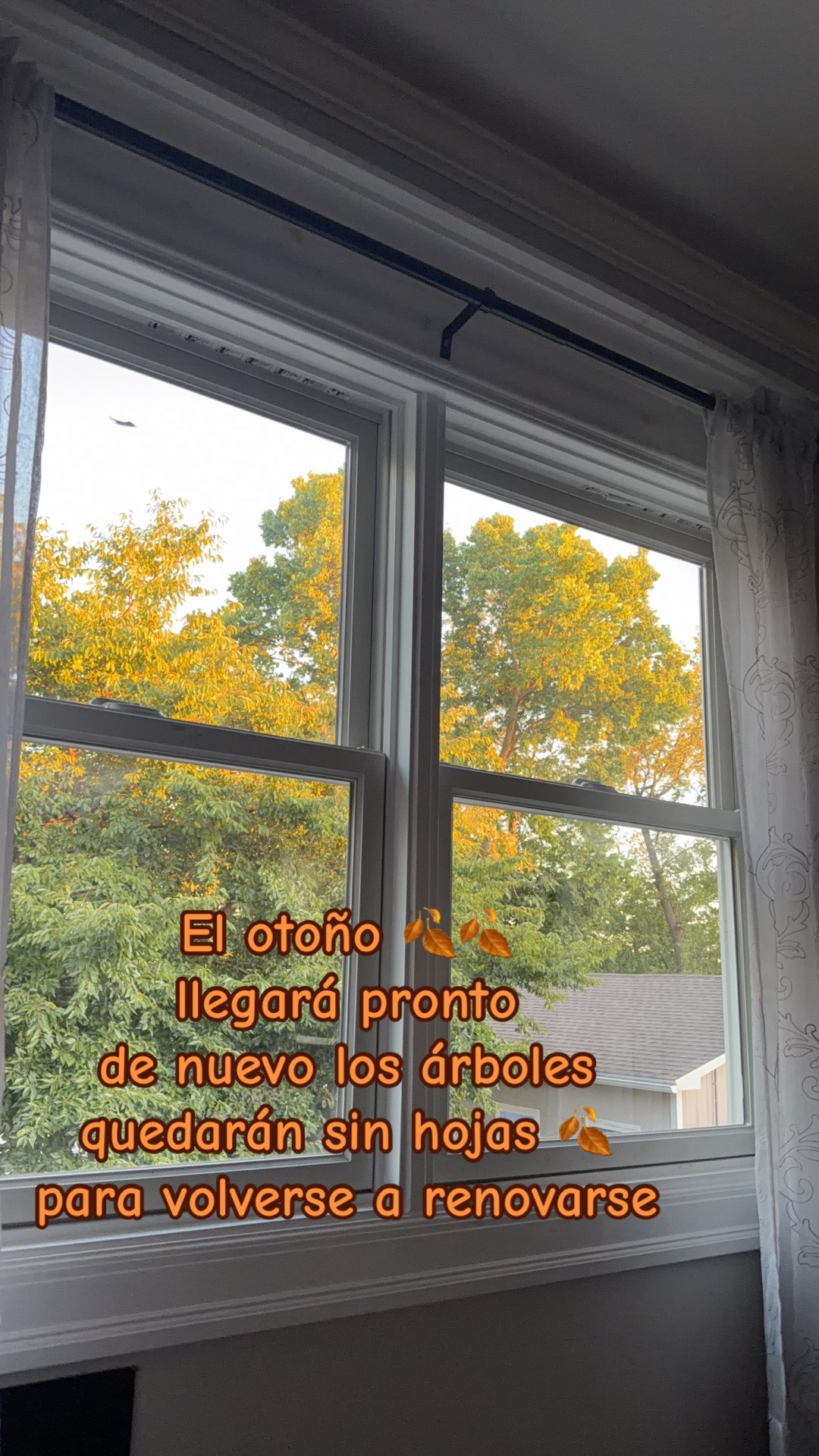 @susanamartinez1634