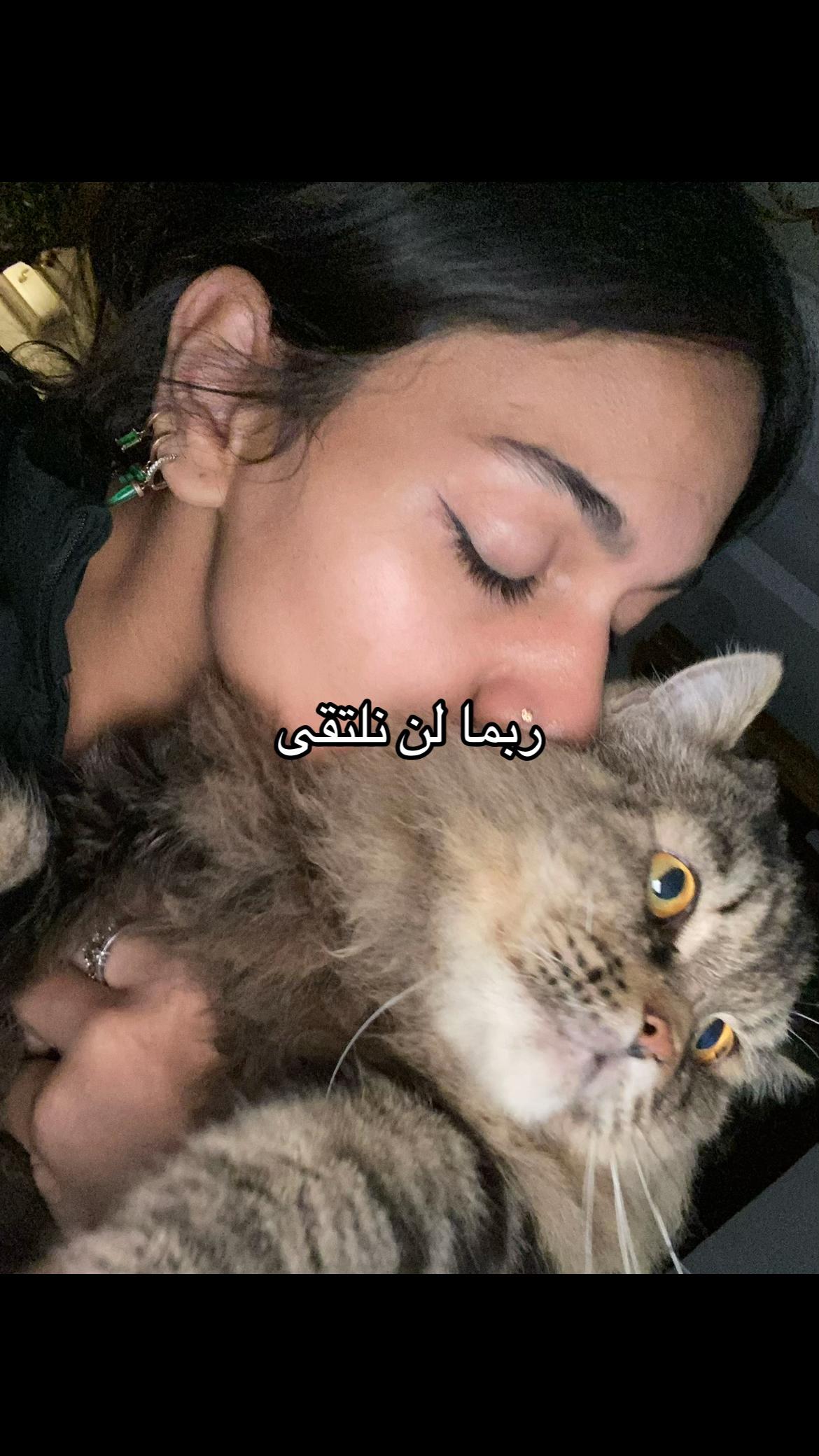 @Rodaynaa