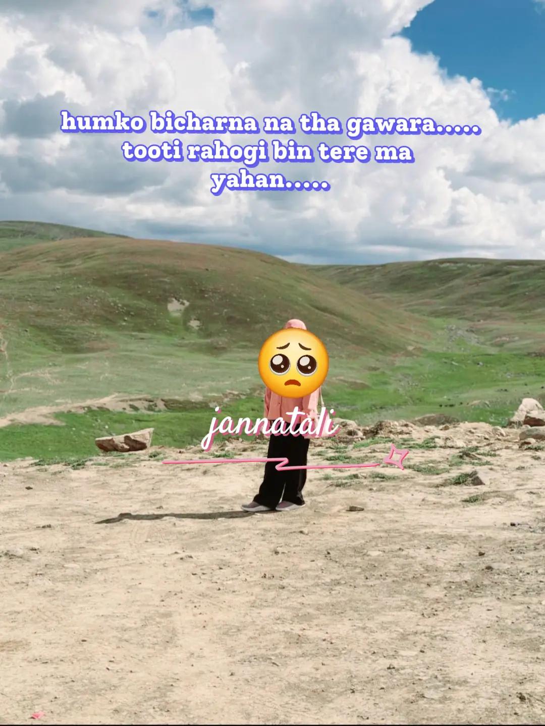 @Jannat Ali