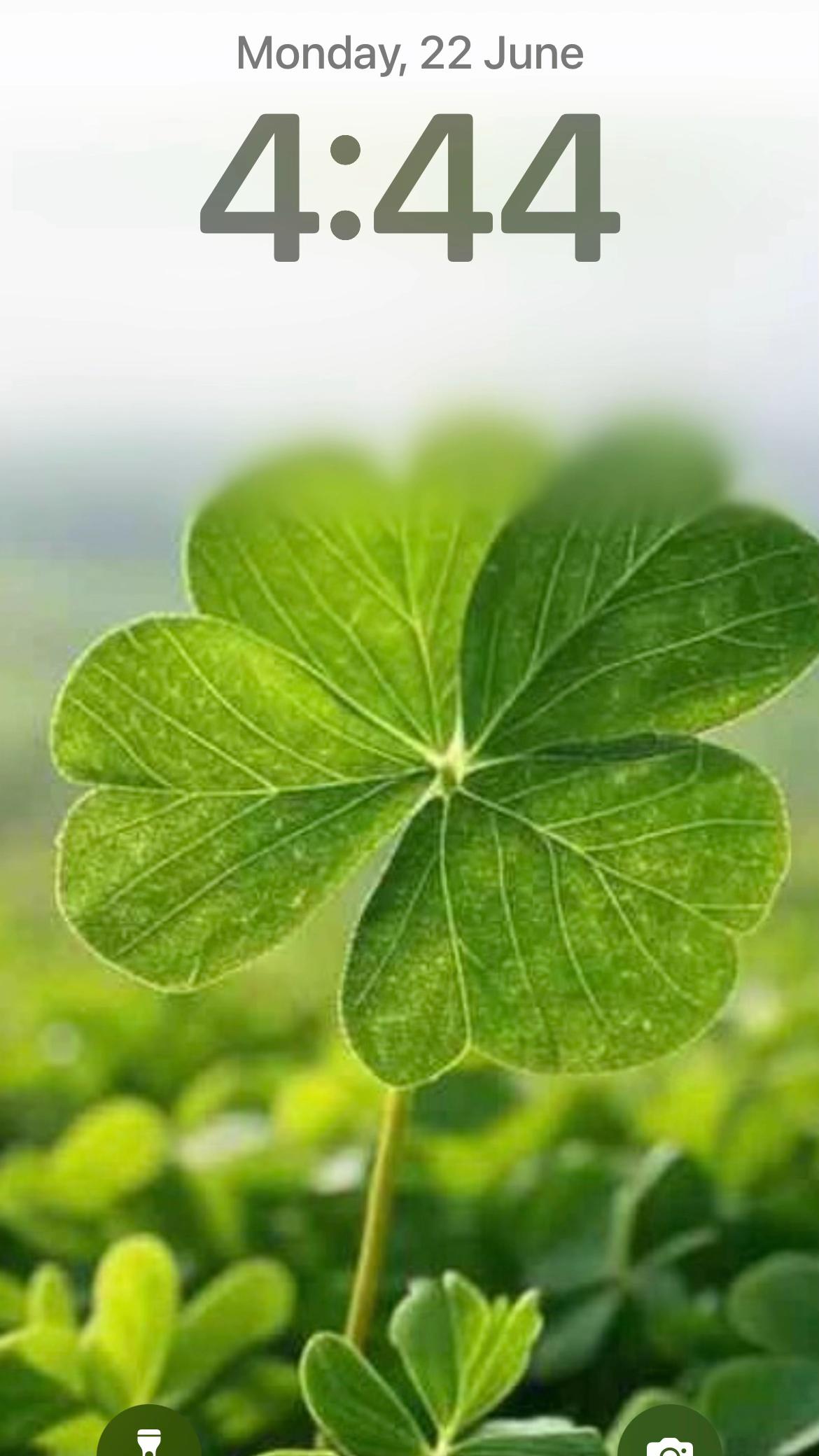@Cloverâïž