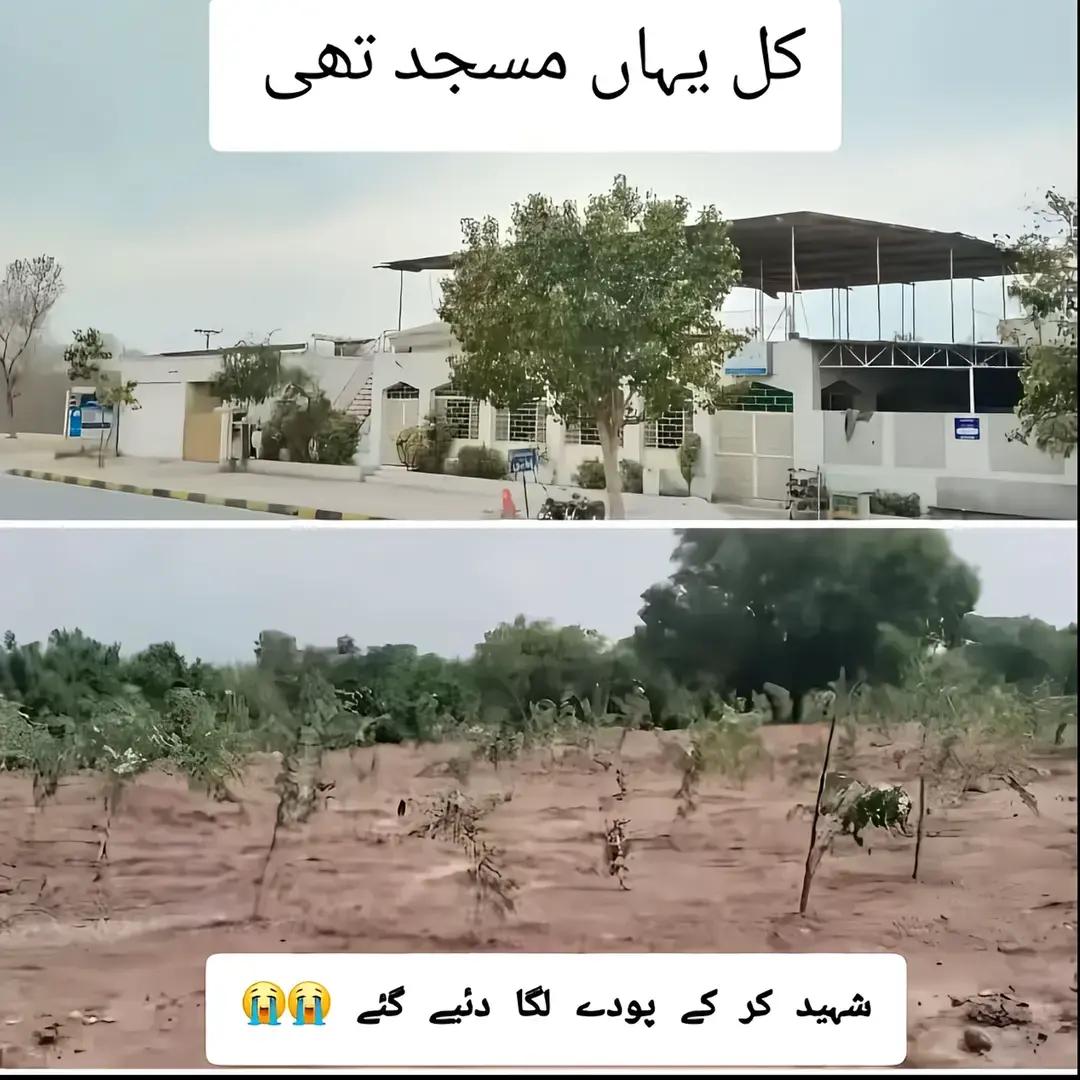 @شکیب خان