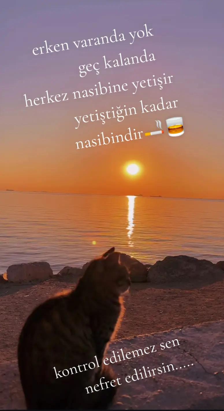 @erkusl